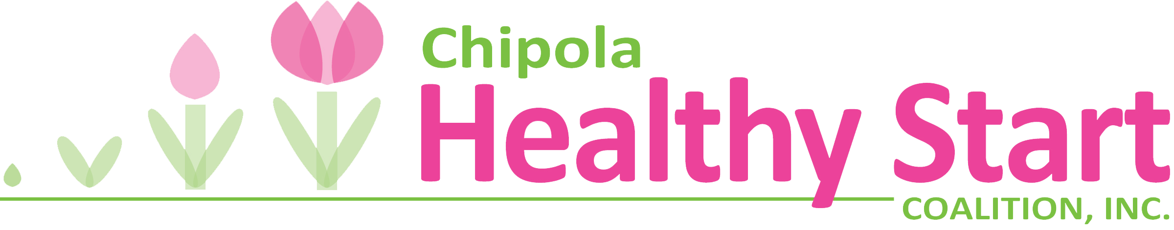 Chipola Healthy Start Coalition, Inc.